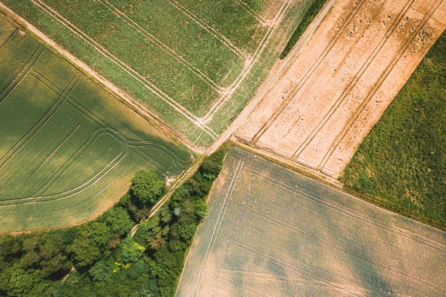 Vista aérea de campos productivos